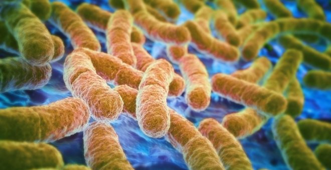 Principia Marsupia - La Inteligencia Artificial descubre un antibiótico contra las "super-bacterias"