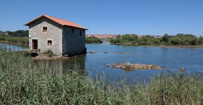 La Marisma Victoria de Noja, enclave estratégico de importancia europea para las aves migratorias