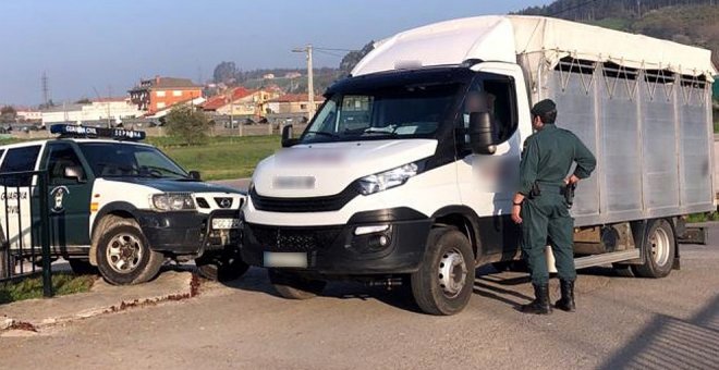 Detenidos cuatro miembros de una familia por robar ganado y falsificar documentos