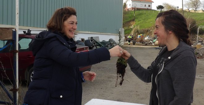 Repartidos en la Campaña del Árbol 575 ejemplares