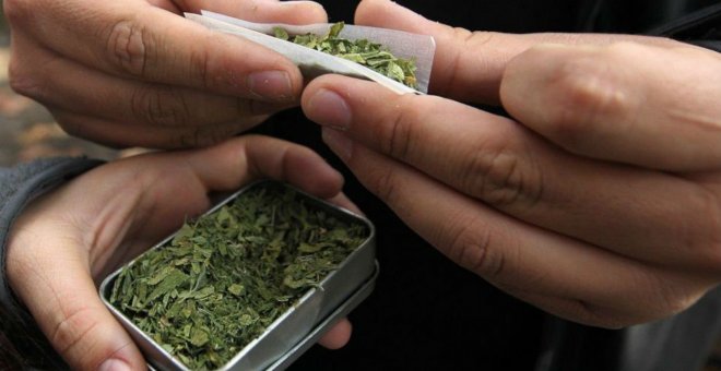 El 11% de la población reconoce haber consumido cannabis en el último año