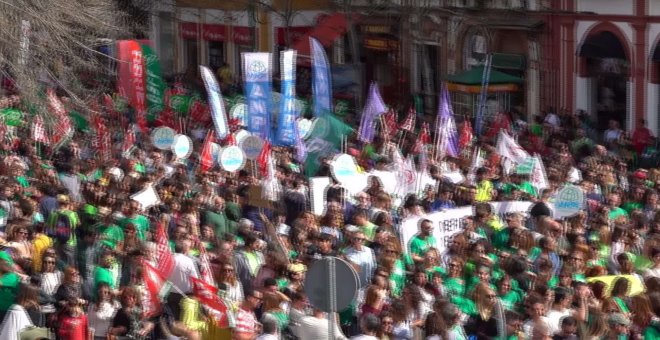 Manifestación en Andalucía contra el decreto de escolarización de la Junta