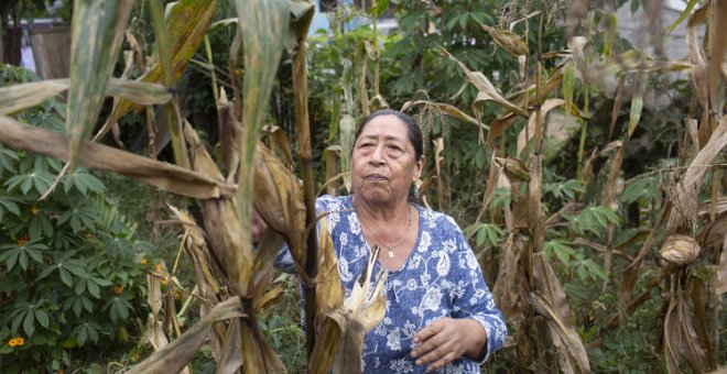 Trabajadoras rurales sudamericanas: 75 horas de trabajo a la semana y cuadernos que cambian vidas