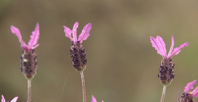 La primavera comienza con lluvias en un fin de semana inestable