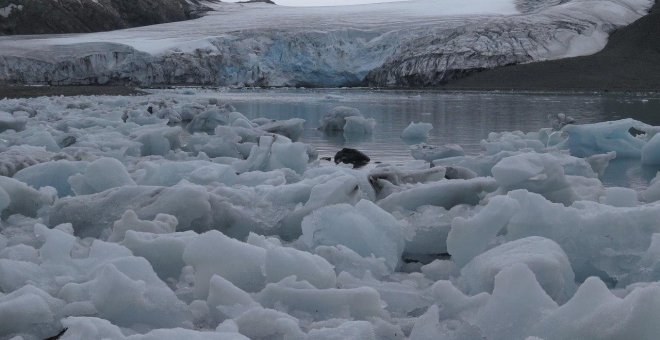 Ecologismo de emergencia - La Antártida y el virus del deshielo
