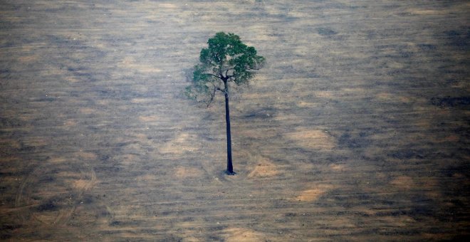 Dominio Público - Coronavirus en tiempos de emergencia climática