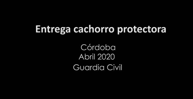 Rescatado de un contenedor un cachorro de perro que había sido abandonado