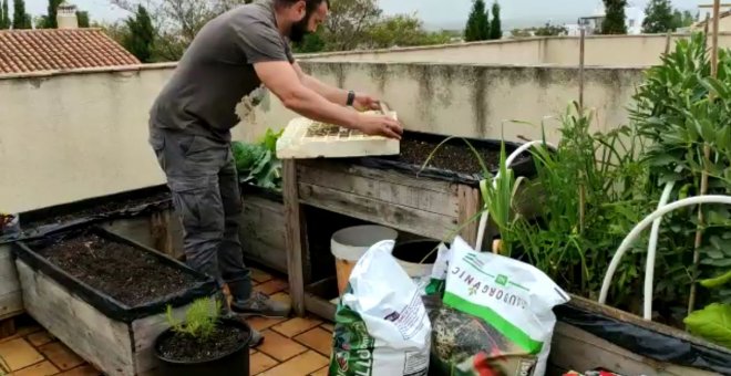 Tu huerto en casa: cómo tener tus propias hortalizas en este confinamiento