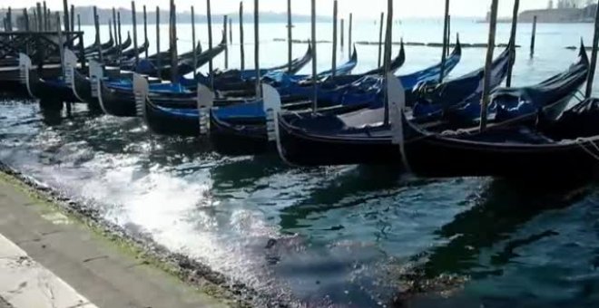 Venecia, una ciudad vacía y silenciosa que florece en una primavera de confinamiento