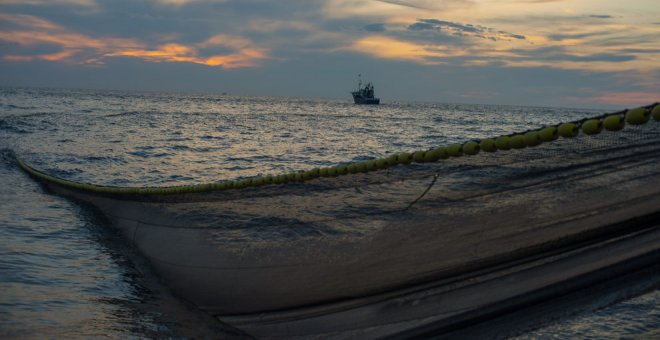 La flota inicia una "atípica" campaña de la anchoa con fuertes medidas de seguridad "en tierra"