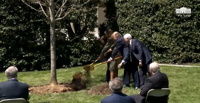 Donald y Melania Trump plantan un árbol en el Día de la Tierra