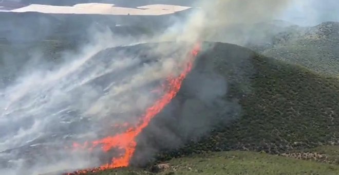 Declarado un incendio forestal en Almería