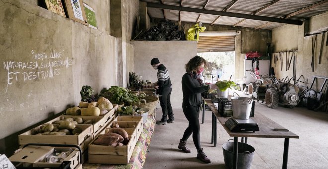 David Segarra: "La huerta valenciana ha demostrado una flexibilidad y una resiliencia extraordinarias"