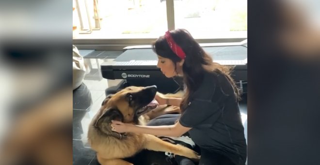 Pilar Rubio muestra cómo cepilla y acaricia a sus perros