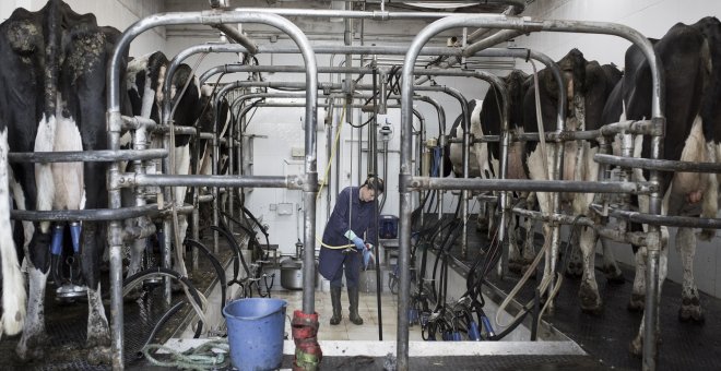 ¿Quiénes trabajan para que no nos falte el alimento?