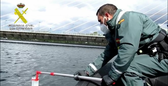 Investigación concluye que la mortandad de peces en el Río Lérez "fue selectiva"