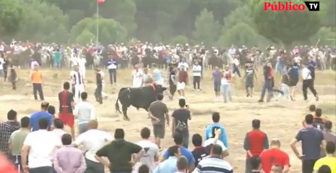 Las medidas que reclama el sector taurino para sobrevivir a la covid-19