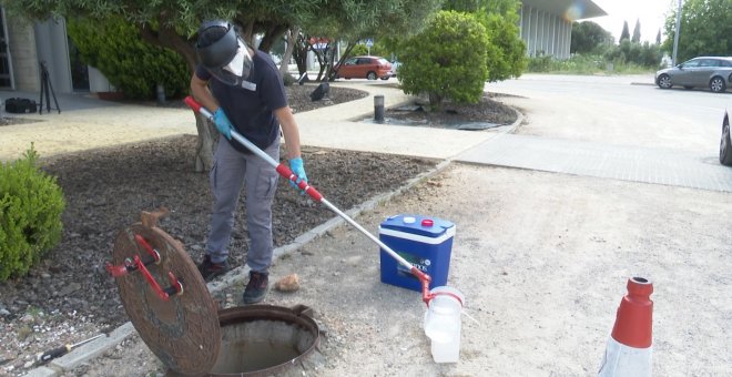 La detección precoz de la Covid-19, objetivo de un estudio en Valencia