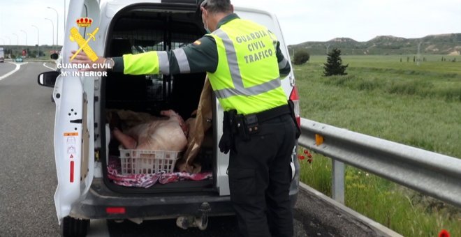 Detenido por transportar carne porcina sin las condiciones de salubridad