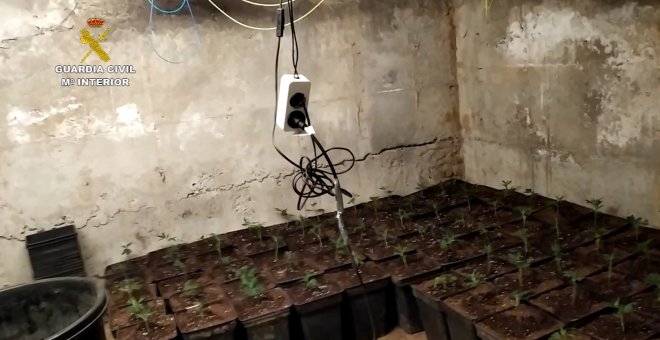Desmantelan una plantación 'indoor' de marihuana