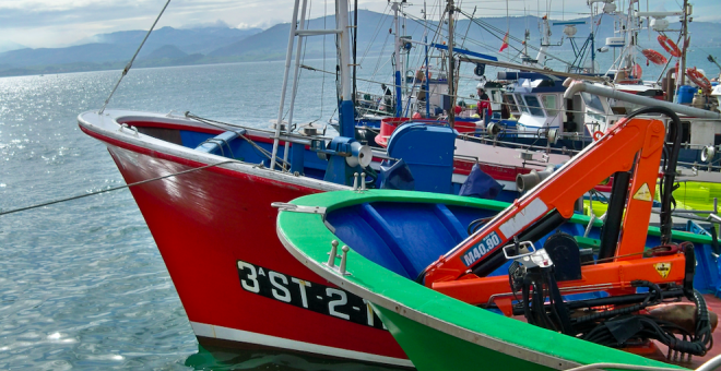 La caza y la pesca deportiva ya pueden practicarse en Cantabria