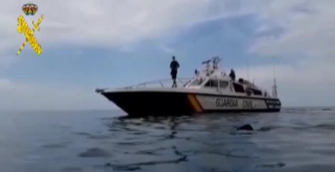 La Guardia Civil avista un tiburón peregrino de más de ocho metros frente a una playa de Granada