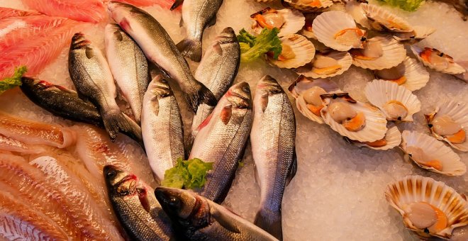 Por qué comer pescado reduce el riesgo de sufrir enfermedades cardiovasculares