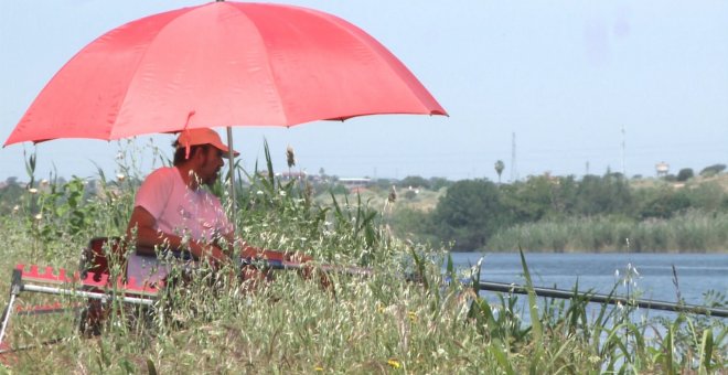 Pescadores se muestran "contentos" por retomar la actividad