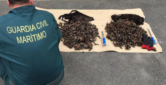 Sorprendidos dos furtivos con antecedentes con más de 20 kilos de percebes en los acantilados de Arnuero