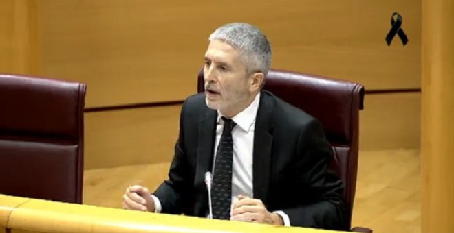 Marlaska dice que ni él ni nadie de la Guardia Civil solicitó el informe del 8M