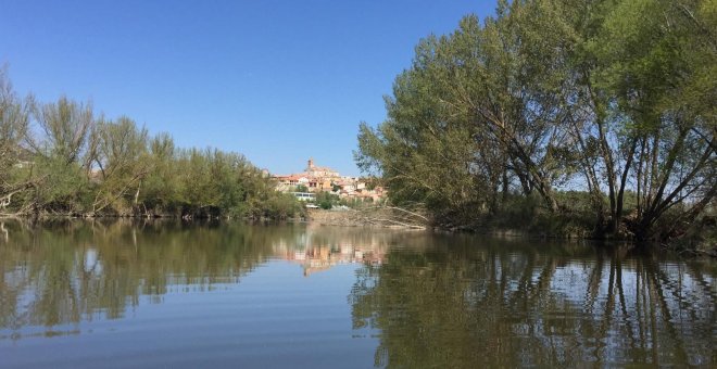 Seprona rastrea la zona de Pesqueruela, en Simancas, en busca de un cocodrilo