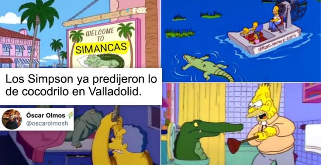 "-Yo: 2020 ya no puede sorprenderme. -2020: hay un cocodrilo en Valladolid": cachondeo con la sorprendente aparición en el Duero