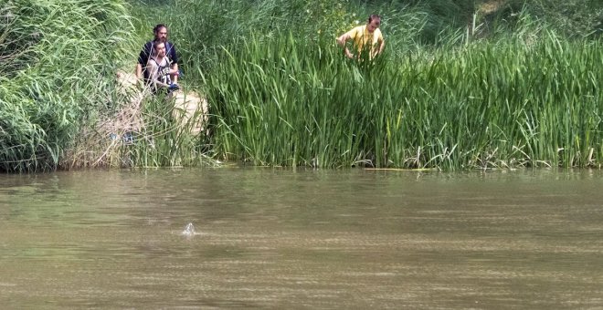 El Seprona busca a un cocodrilo de metro y medio en el río Duero