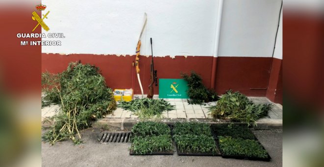 Desmantelan una plantación con 1.394 plantas de marihuana