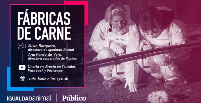 'Fábricas de Carne': charla entre Ana Pardo de Vera y Silvia Barquero sobre la crueldad de la industria de la carne de pollo en España