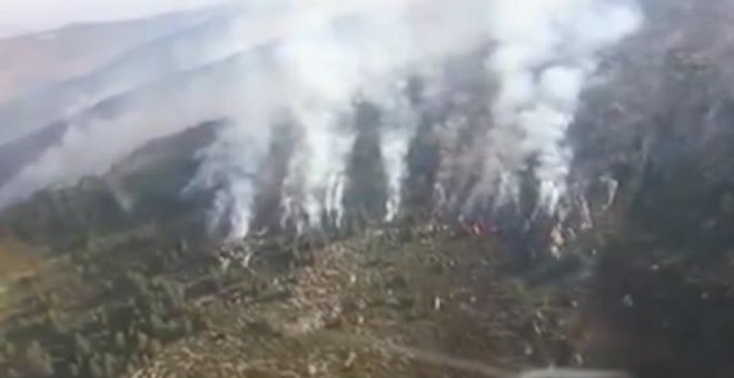 Detenido el presunto autor del incendio forestal del Parque Nacional del Guadarrama