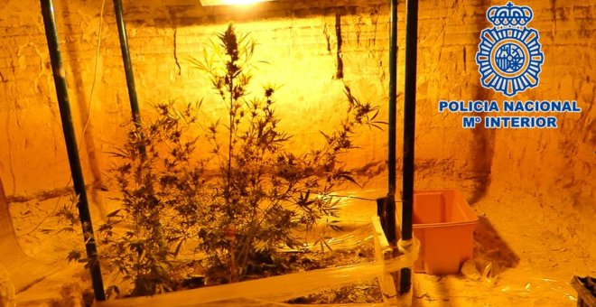 Amenaza de muerte a un policía con una catana y le descubren un cultivo de marihuana en una cueva