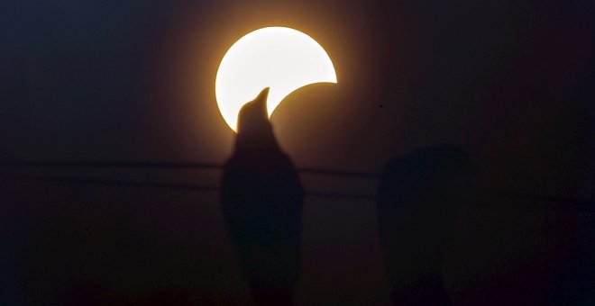 Así se vio el eclipse solar desde la India