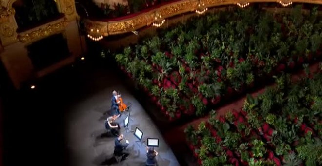 Concierto para plantas en el Liceu de Barcelona