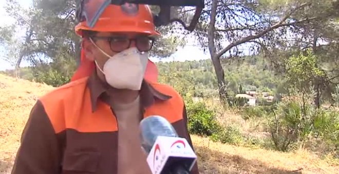 Brigadistas forestales de Valencia trabajan sin descanso temerosos de un verano complicado