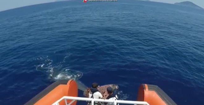 Liberan en Italia a una ballena atrapada en una red de pescador ilegal