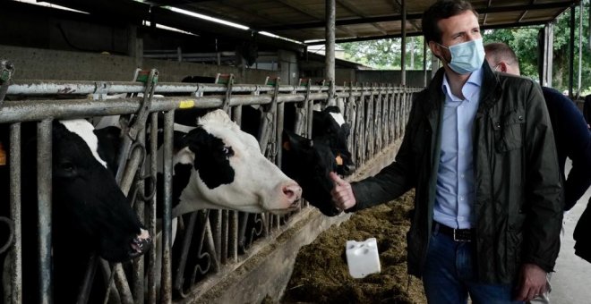 Casado acusa a Sánchez de "crispar": "¿Para qué viene a Galicia? ¿Para insultarme a mí?"