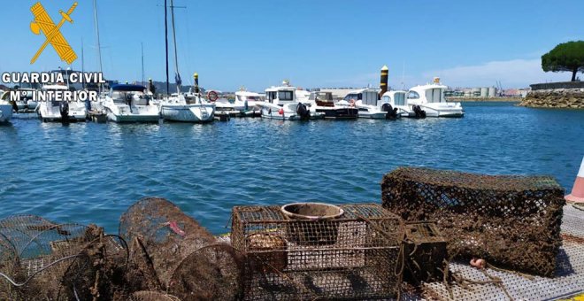 Desmantelado otro vivero clandestino con cachones, nécoras y salmonetes