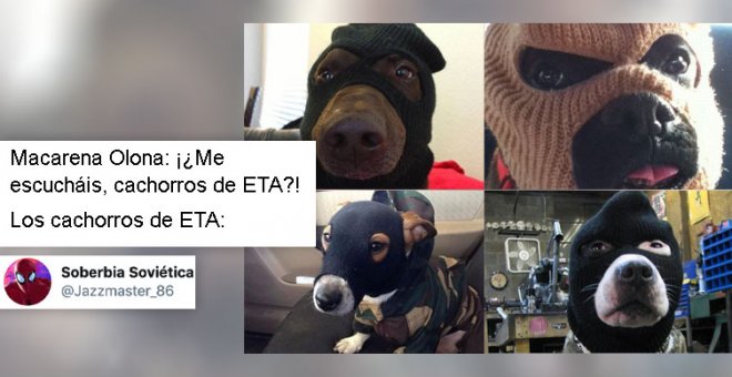 "No van a provocar, no": las redes analizan la visita de Macarena Olona a Oñati gritando "¡Cachorros de ETA!"