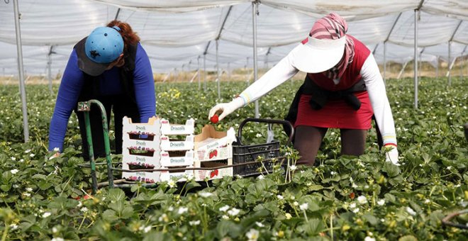 Más de 7.000 trabajadoras marroquíes abandonadas en Huelva por parte de su gobierno