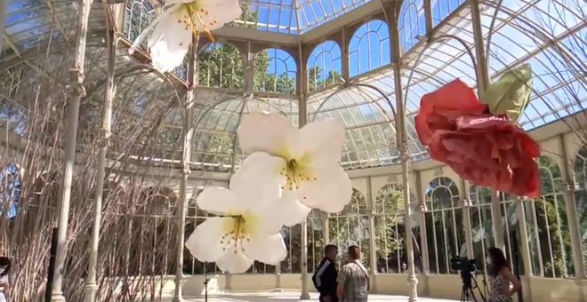 Exposición del artista Petrit Halilaj en el Palacio de Cristal