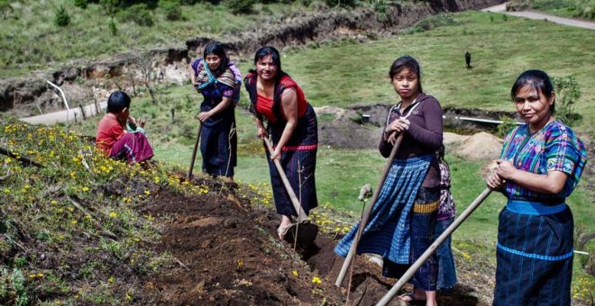 Los argumentos a favor de una renta básica universal