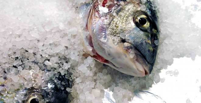 Pato confinado - Dorada a la sal: la receta que saca lo mejor de este pescado