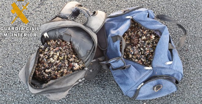 La Guardia Civil incauta 40 kilos de percebes a tres hombres por pesca ilegal