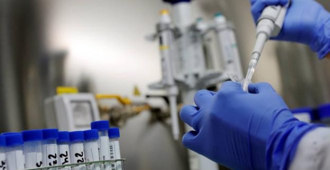 Tres vacunas contra la covid entran en la fase crucial de ensayos, que podrían durar seis meses